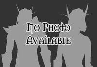 No image available