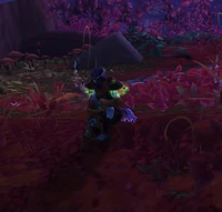 Image of Felborne Trapper