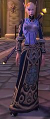 , a High elf priest in 