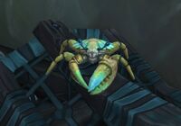 Image of Sandyback Crawler