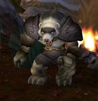 Image of Shaman Partak