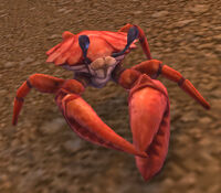 Image of Surf Crawler