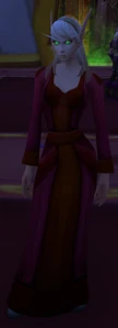 Blood Elf Pilgrim