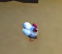 Image of Mr. Clucker
