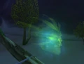 Night Elf Wisp Specimen
