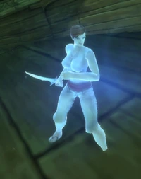 Image of Spectral Swashbuckler