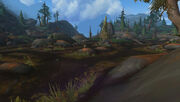 Blushwater Brook.jpg