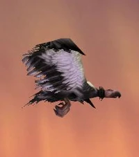 Image of Dreadtalon