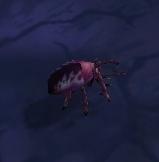 Image of Twilight Beetle