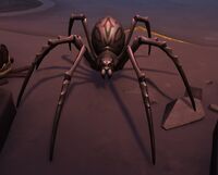 Image of Vault Weaver