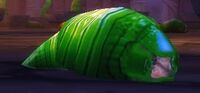 Image of Diseased Maggot