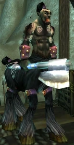 Image of Maraudine Scout