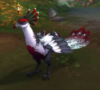 Image of Ruby Peafowl