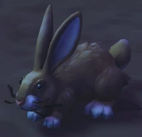 Image of Desert Cottontail