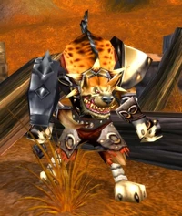 Image of Jango Spothide