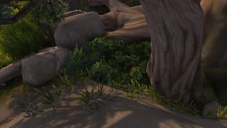 Orb 1: Under leaves and bushes