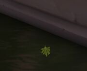 Leafy Leaf