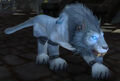 Worgen druid in cat form