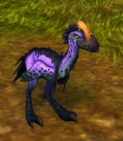 Darkmoon Hatchling