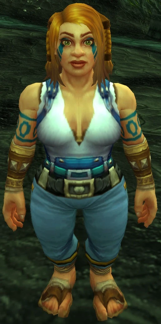 Aerie Peak General Goods