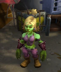 Image of Villi Gobsplat