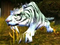 Image of King Bangalash