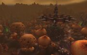 Plaguewood 3.jpg