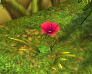 Flower of Wealth
