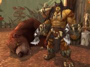 RexxarMishaTLSH