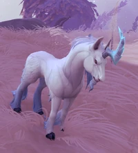 Image of Wild Cloudracer