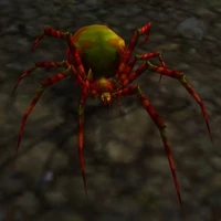 Image of Jumping Spider