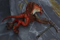 Image of Expedition Laborer