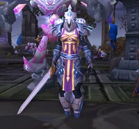 Image of Kirin Tor Guardian