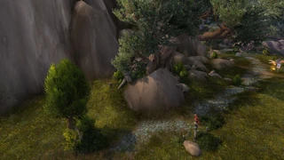 Orb 1: At the base of the tree