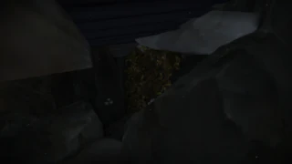 Orb 9: Enter the ship by the fish, go through the maze to find kelp is obscuring the cave