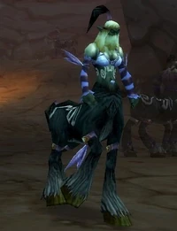 Image of Maraudine Priest