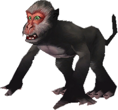 Monkey