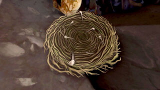 Nest of Unusual Materials