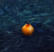 O'ruk Orange.jpg