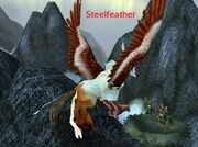 Steelfeather Nest