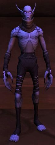 Absolon Nightfallen