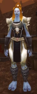 Image of Argent Outfitter