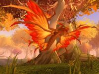 Image of Feral Dragonhawk Hatchling