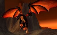 Image of Rogue Black Drake
