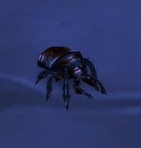 Image of Creepy Crawly