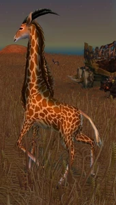 Image of Giraffe