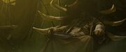 Kilrogg's father.jpg