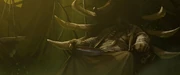Kilrogg's father