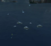 A group of deceased floating sparkleshells surrounded by .