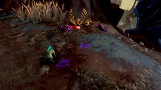 Wide angle of Fleshy Remains